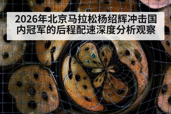 2026年北京马拉松杨绍辉冲击国内冠军的后程配速深度分析观察